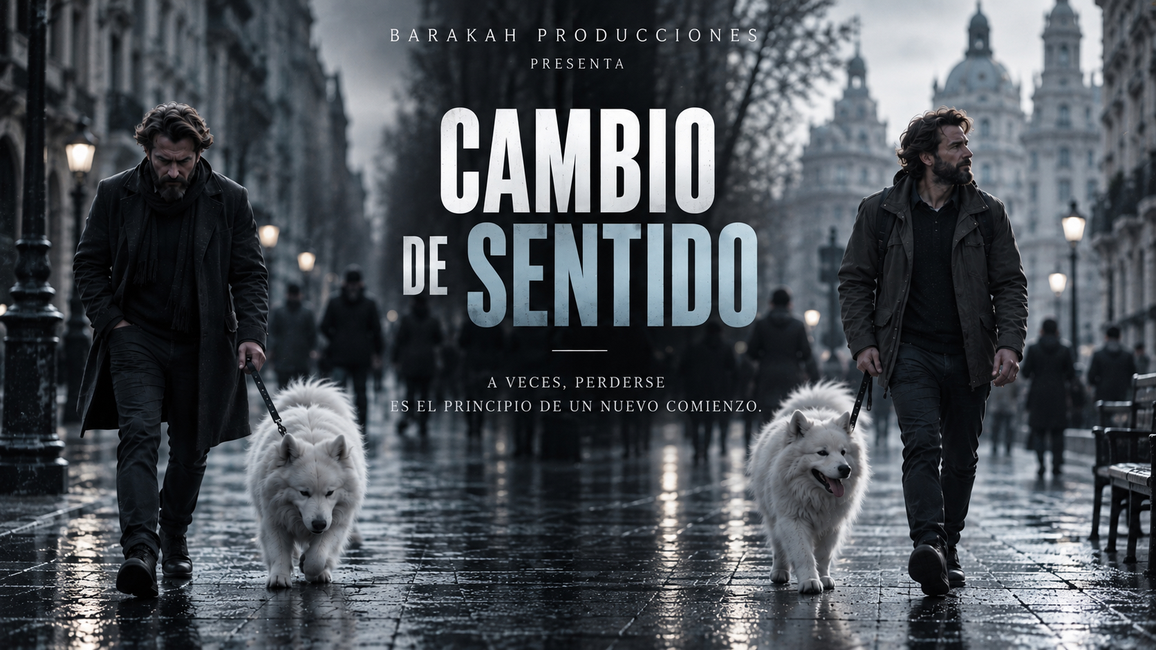 CAMBIO DE SENTIDO